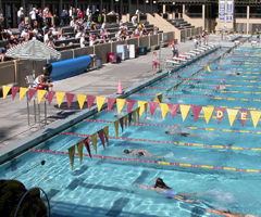 long view of kids tri: 