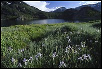 lake near Tioga Pass QTL: 