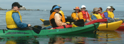 lifeguards and paddlers ocean kayak 2007: 