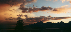 sunset lunch tree hill Grand Tetons: 