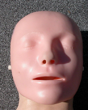 manikin face on correctly: 