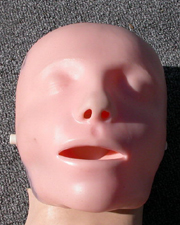 manikin face on wrong: 