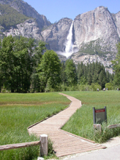 meadow Yosemite falls June 2005: 