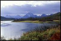 Oxbow Bend and Mt Moran QTL: 