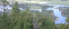 part of Oxbow Bend from Signal Mtn summit: 