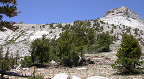 plateau just below Mt Hoffman: 