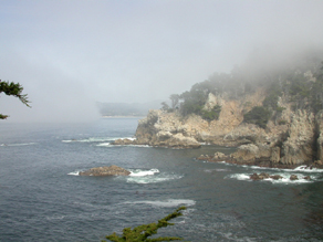 point lobos fog rolling in: 