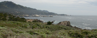 Point Lobos South Shore trail: 