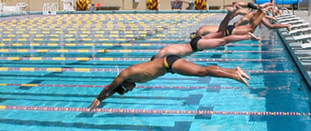 racing dives 131 pixels: 