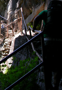 railing near end of Mist Trail: 