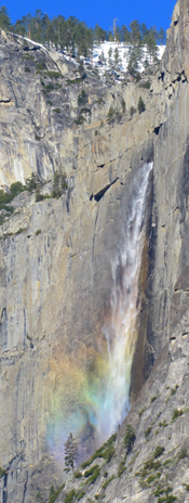 rainbow in mist upper Yosemite fall Feb 2014: snow at top of cliffs, rainbow in mist near bottom of waterfall