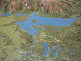 all ofJackson Lake raised relief map: 