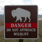 sign danger do not approach wildlife: 