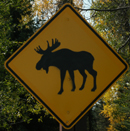 sign moose emblem: 