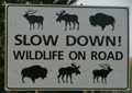 sign slow down wildlife on road: 