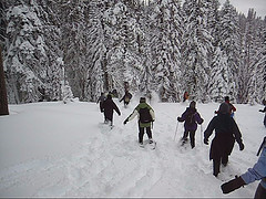 snowshoe run three copyright Monica Colmenares: 