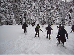 snowshoe run two copyright Monica Colmenares: 