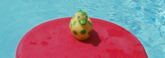 spotted rubber ducky on red kickboard.: rubber duck goes for a ride on a kickboard in a pool