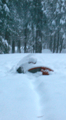 tent after two feet of snow 2008 Yosemite upper pines campground: 