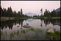 terragalleria Tioga pass tarn: terragalleria photo of a Tioga pass tarn, yosemite