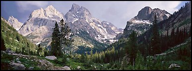 terragalleria mtn scenery tetons: 