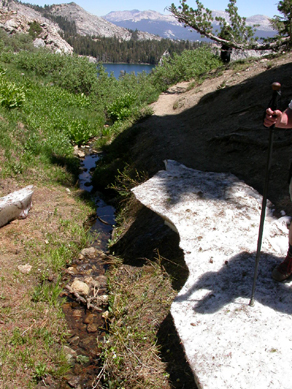 trail thru snowbank Mt Hoffman: 