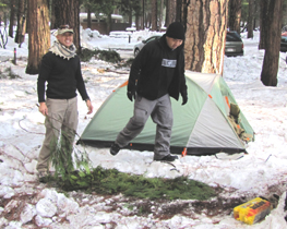 tree branch bed for under a tent: camper lays out a tree branch bed in a foot of snow for under a tent made from branches from storm fallen trees