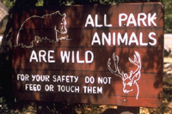 wildlife warning sign: 