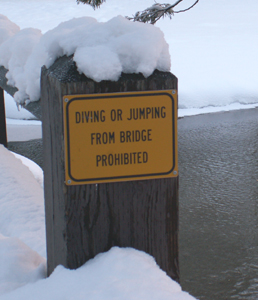 sign diving from bridge winter: 