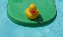 yellow rubber ducky on green kickboard: rubber ducky going for a ride on a kickboard