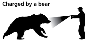 NPS drawing of a man spraying a bear with the words charged by a bear