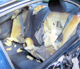 bear-ripped-up-interior-of-car-NPS-photo.jpg