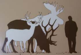 Moose Height Chart