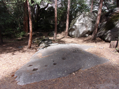large flat rock by side of trail