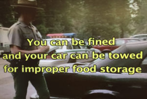 you can be fined and your car can be towed for improper food storage from NPS video