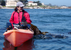 kayaker reacts to an otter who started to climb up on her kayak