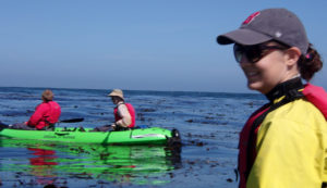 otter climbs up to rear of Jimmy Pham's and Richard Wagner's kayak