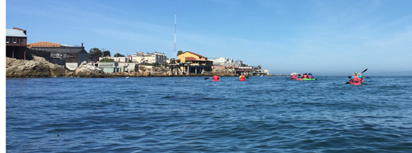 kayakers paddling towards buildings