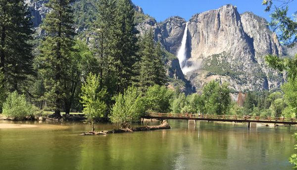 Swimming In Yosemite National Park Mary Donahue