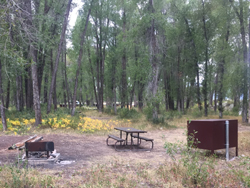 campsite with fire ring, picnic table and bearbox