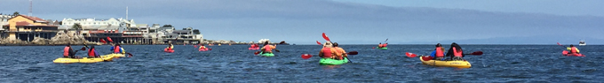 Monterey Bay aquarium in background, kayakers in foreground