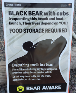 sign says black bear with cubs frequenting this beach