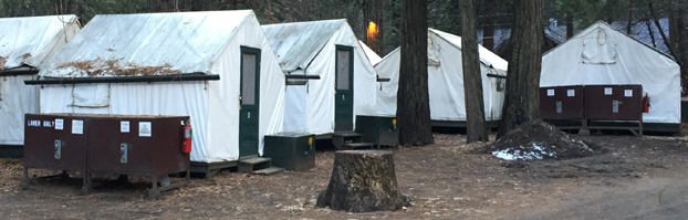 Yosemite Valley Tent Cabins Tips And Tricks Mary Donahue