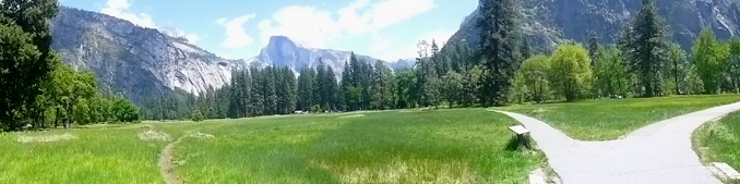 two pathways, Half Dome in background