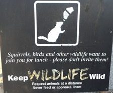 sign warning of animals that want to join you for lunch