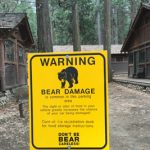 2 cabins and sign warning of bear damage