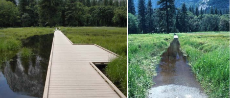 2 photos of meadow with and without a boardwalk