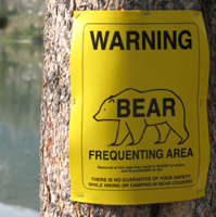 sign warning about bears frequenting the area tacked to a tree