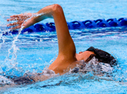 arm high out of water on freestyle recovery