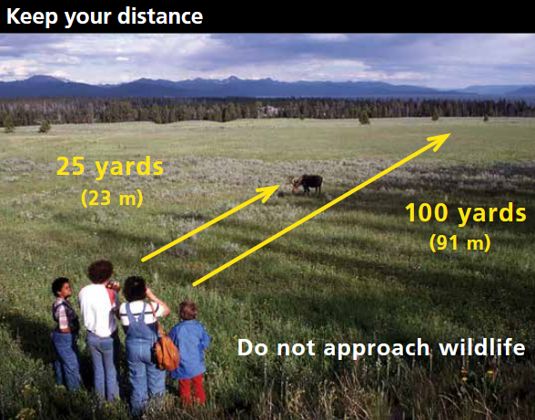 how-long-is-200-yards